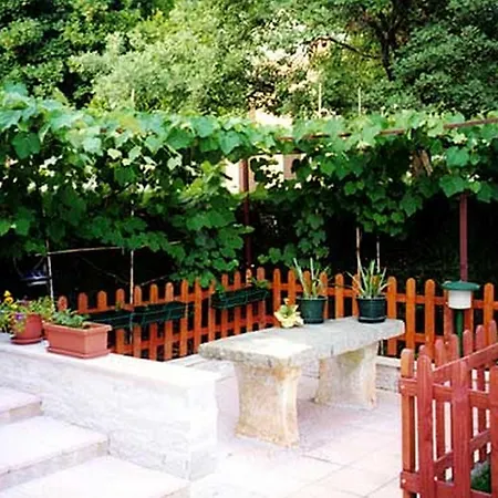 Apartment Felix Poreč